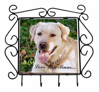 Yellow Labrador Dog 