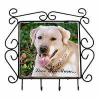 Yellow Labrador Dog 