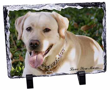 Yellow Labrador Dog 