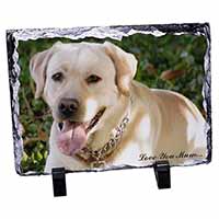 Yellow Labrador Dog 