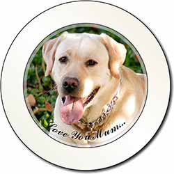 Yellow Labrador Dog 