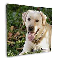 Yellow Labrador 