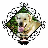 Yellow Labrador 