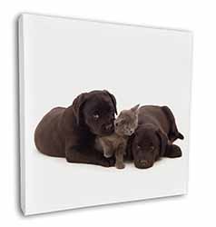 Black Labrador Dogs and Kitten Square Canvas 12"x12" Wall Art Picture Print