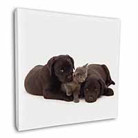 Black Labrador Dogs and Kitten Square Canvas 12"x12" Wall Art Picture Print
