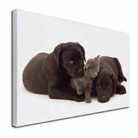 Black Labrador Dogs and Kitten Canvas X-Large 30"x20" Wall Art Print