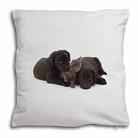 Black Labrador Dogs and Kitten Soft White Velvet Feel Scatter Cushion