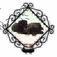 Black Labrador Dogs and Kitten Wrought Iron Wall Art Candle Holder