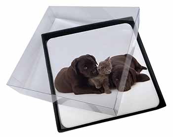 4x Black Labrador Dogs and Kitten Picture Table Coasters Set in Gift Box