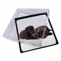 4x Black Labrador Dogs and Kitten Picture Table Coasters Set in Gift Box