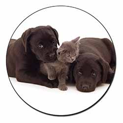 Black Labrador Dogs and Kitten Fridge Magnet Printed Full Colour