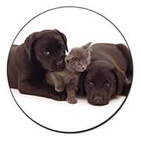 Black Labrador Dogs and Kitten Fridge Magnet Printed Full Colour
