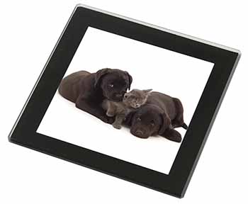 Black Labrador Dogs and Kitten Black Rim High Quality Glass Coaster