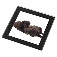 Black Labrador Dogs and Kitten Black Rim High Quality Glass Coaster