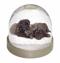 Black Labrador Dogs and Kitten Snow Globe Photo Waterball