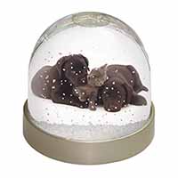 Black Labrador Dogs and Kitten Snow Globe Photo Waterball