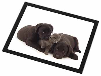 Black Labrador Dogs and Kitten Black Rim High Quality Glass Placemat