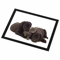 Black Labrador Dogs and Kitten Black Rim High Quality Glass Placemat