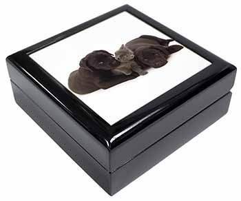 Black Labrador Dogs and Kitten Keepsake/Jewellery Box