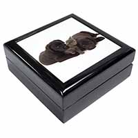 Black Labrador Dogs and Kitten Keepsake/Jewellery Box