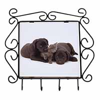 Black Labrador Dogs and Kitten Wrought Iron Key Holder Hooks