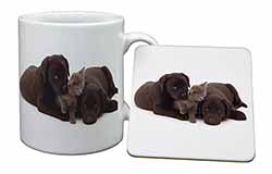 Black Labrador Dogs and Kitten Mug and Coaster Set