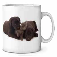 Black Labrador Dogs and Kitten Ceramic 10oz Coffee Mug/Tea Cup