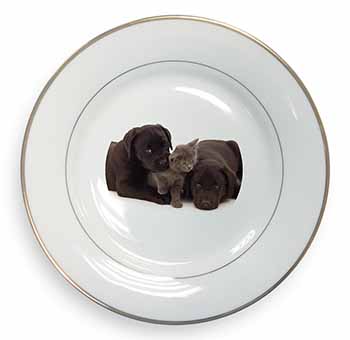 Black Labrador Dogs and Kitten Gold Rim Plate Printed Full Colour in Gift Box