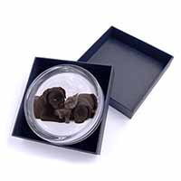 Black Labrador Dogs and Kitten Glass Paperweight in Gift Box