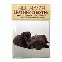 Black Labrador Dogs and Kitten Single Leather Photo Coaster