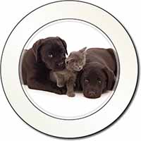 Black Labrador Dogs and Kitten Car or Van Permit Holder/Tax Disc Holder