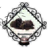 Black Labrador and Cat Wrought Iron Wall Art Candle Holder