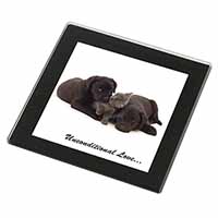 Black Labrador and Cat Black Rim High Quality Glass Coaster