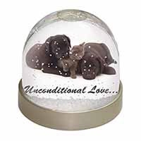 Black Labrador and Cat Snow Globe Photo Waterball