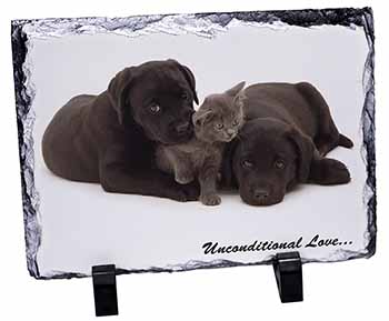 Black Labrador and Cat, Stunning Photo Slate