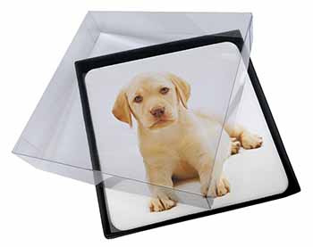 4x Yellow Labrador Picture Table Coasters Set in Gift Box