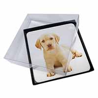 4x Yellow Labrador Picture Table Coasters Set in Gift Box