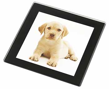 Yellow Labrador Black Rim High Quality Glass Coaster