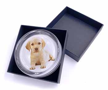 Yellow Labrador Glass Paperweight in Gift Box