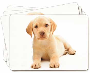 Yellow Labrador Picture Placemats in Gift Box