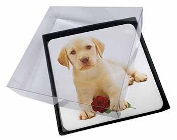 4x Yellow Labrador Puppy with Rose Picture Table Coasters Set in Gift Box