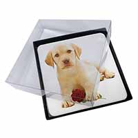 4x Yellow Labrador Puppy with Rose Picture Table Coasters Set in Gift Box