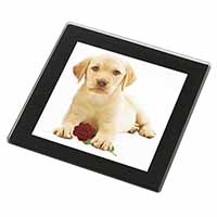 Yellow Labrador Puppy with Rose Black Rim High Quality Glass Coaster