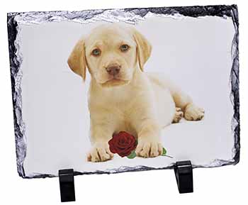 Yellow Labrador Puppy with Rose, Stunning Photo Slate