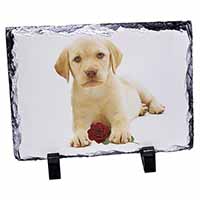 Yellow Labrador Puppy with Rose, Stunning Photo Slate