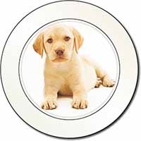 Yellow Labrador Car or Van Permit Holder/Tax Disc Holder