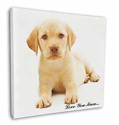 Yellow Labrador Pup 