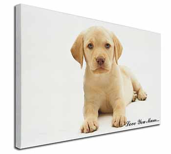 Yellow Labrador Pup 