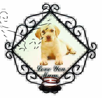 Yellow Labrador Pup 