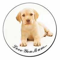 Yellow Labrador Pup 